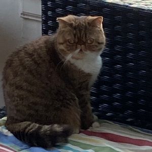 Meet your Posher, Tracey